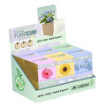 Plant Cube Flowers 12 PC